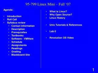 95 799 linux mini fall 07