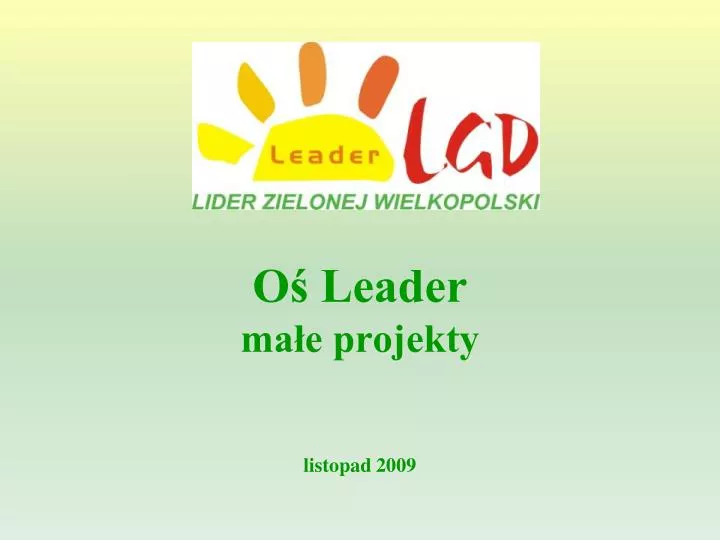 o leader ma e projekty listopad 2009