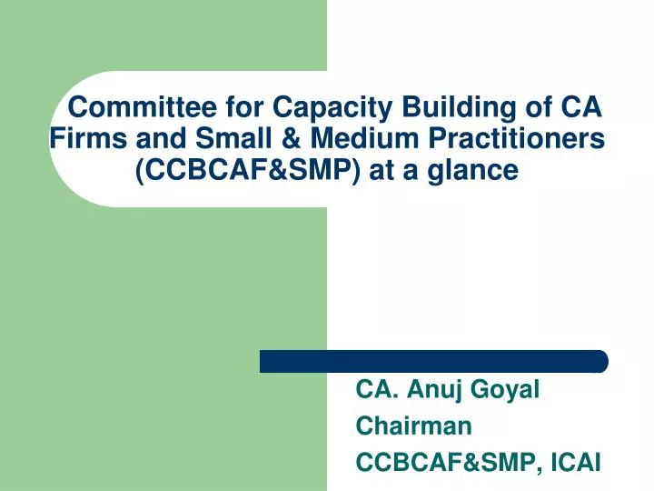 committee for capacity building of ca firms and small medium practitioners ccbcaf smp at a glance