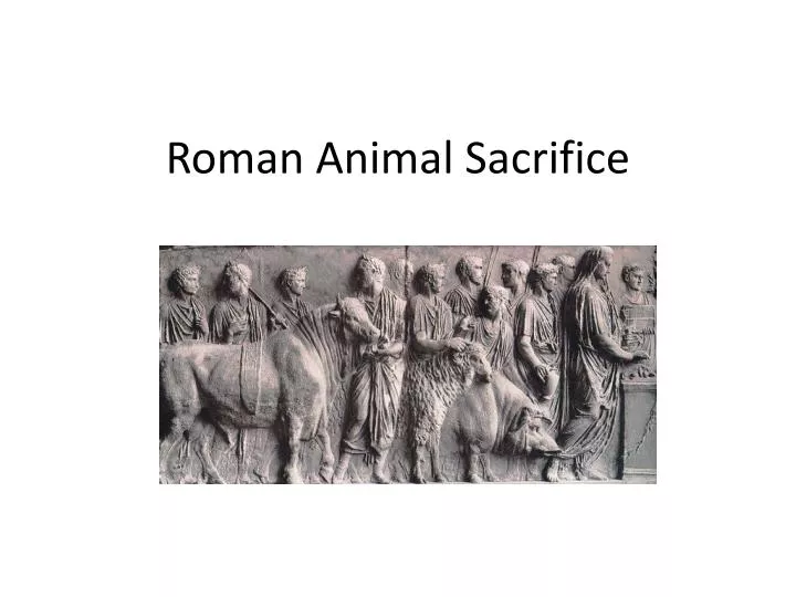 roman animal sacrifice