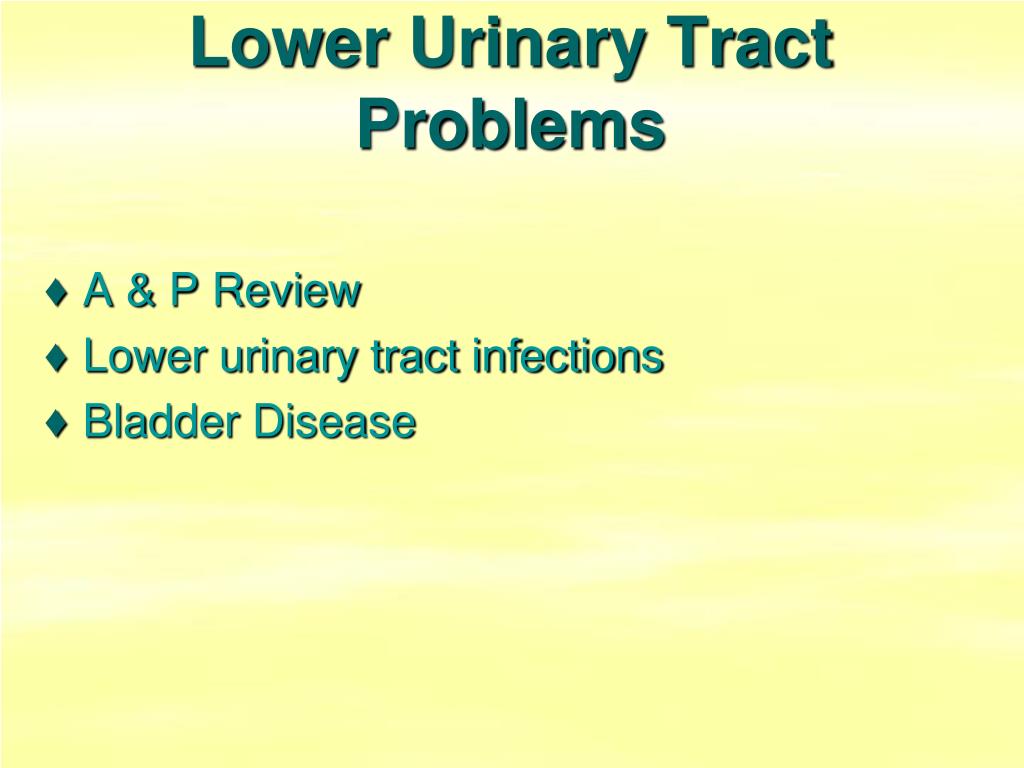 Lower Urinary Tract Problems - slide 1