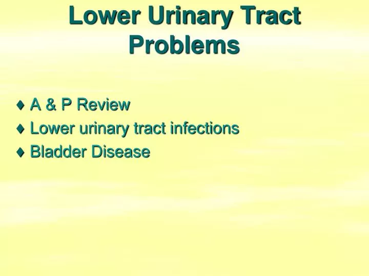 lower urinary tract problems