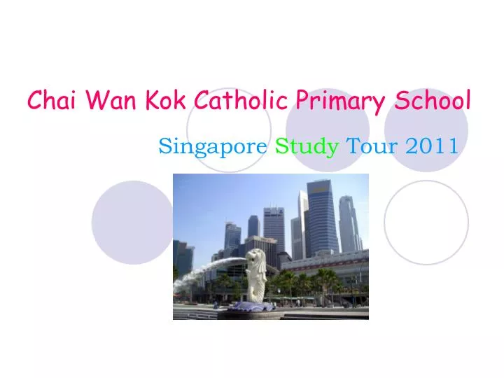 chai wan kok catholic primary school