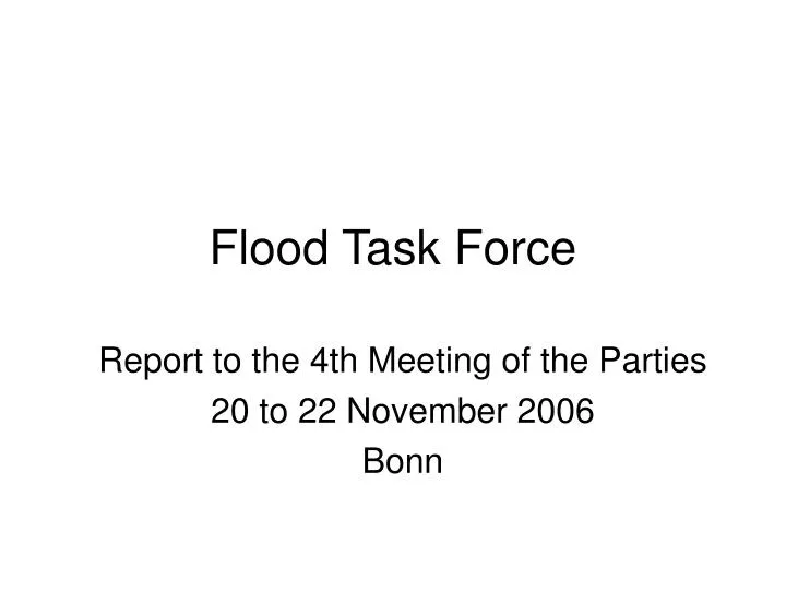 flood task force