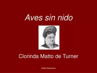 aves sin nido
