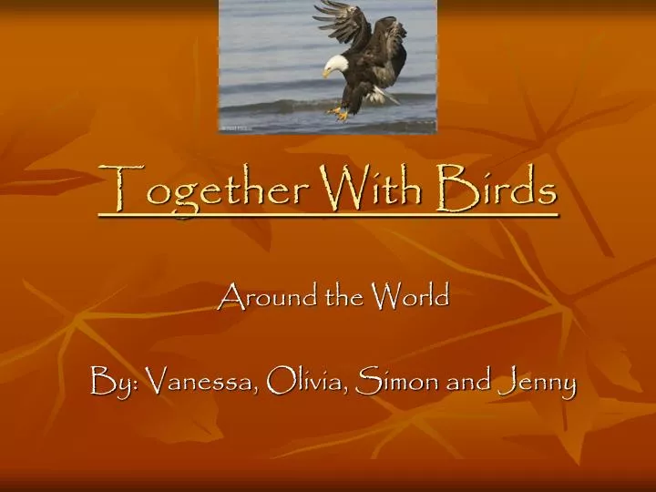 together with birds