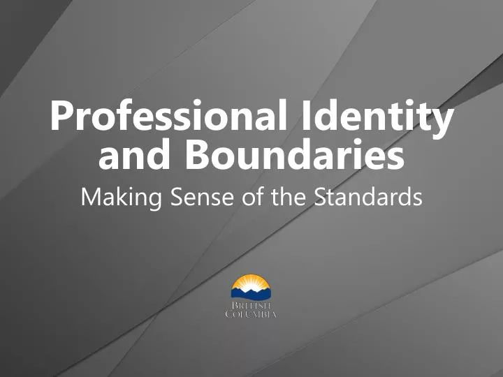 professional identity and boundaries