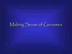 Making Sense of Genomes - slide 1