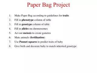 Paper Bag Project