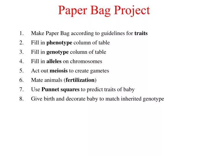 paper bag project