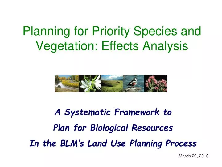 planning for priority species and vegetation effects analysis