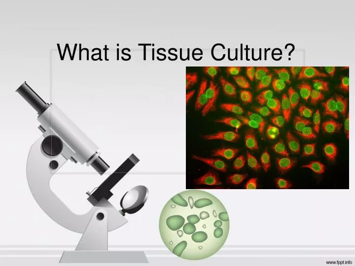 what is tissue culture