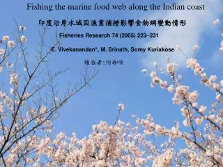 Fishing the marine food web along the Indian coast
