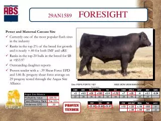 29AN1589 FORESIGHT