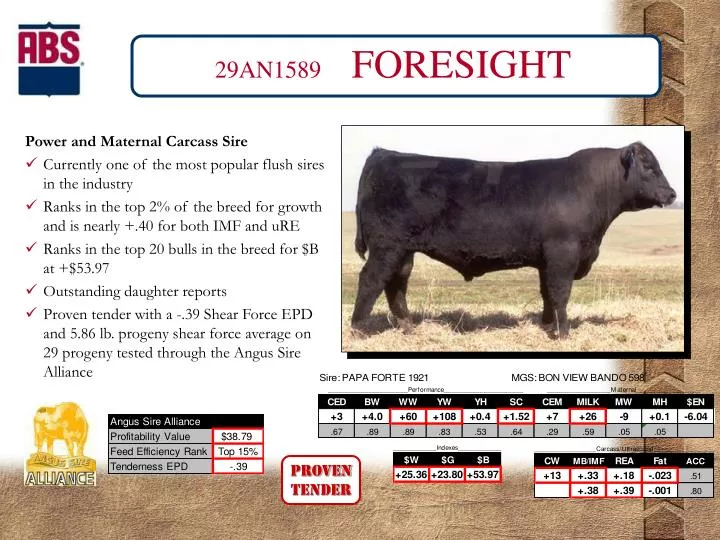 29an1589 foresight