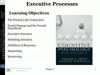 Executive Processes