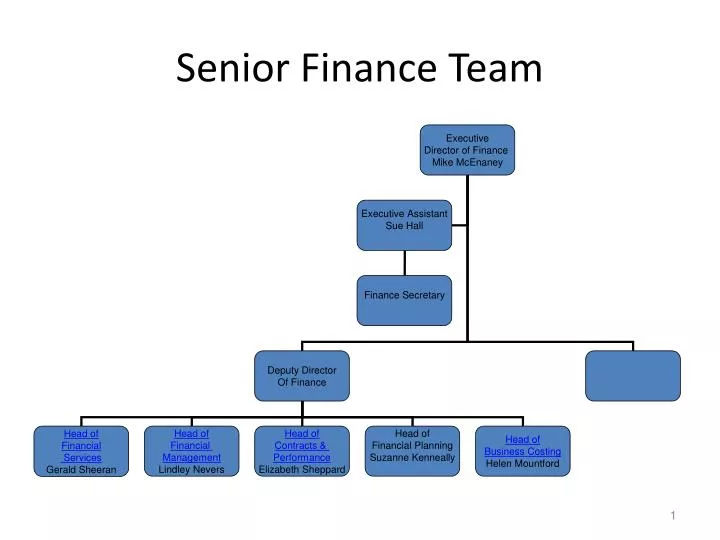 senior finance team