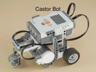Castor Bot
