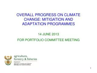 OVERALL PROGRESS ON CLIMATE CHANGE: MITIGATION AND ADAPTATION PROGRAMMES 14 JUNE 2013