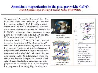 Anomalous magnetization in the post-perovskite CaIrO 3