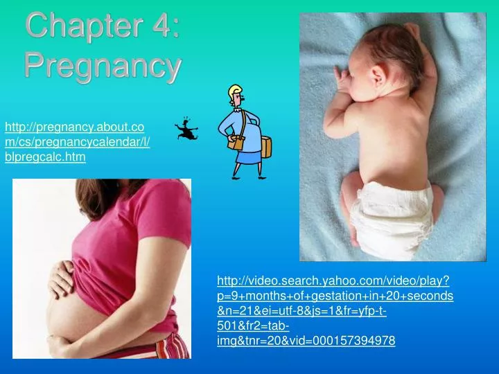 chapter 4 pregnancy