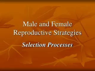 Male and Female Reproductive Strategies