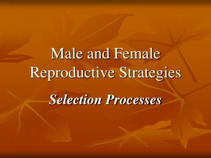 male and female reproductive strategies