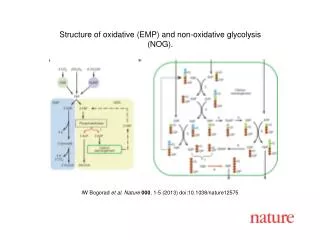 IW Bogorad et al. Nature 000 , 1-5 (2013) doi:10.1038/nature12575