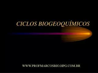 ciclos biogeoqu micos