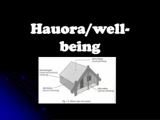 Hauora/well-being