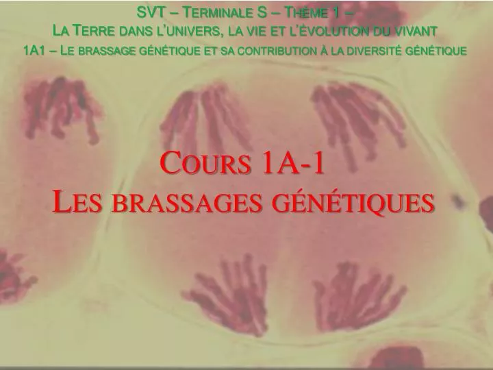 cours 1a 1 les brassages g n tiques