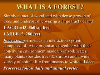 WHAT IS A FOREST?