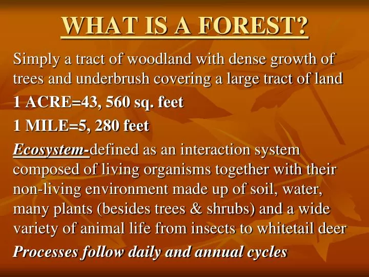 what is a forest