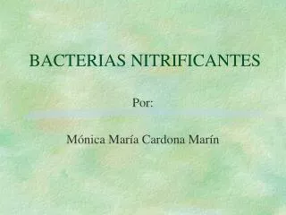 bacterias nitrificantes