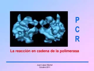 p c r