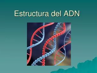 estructura del adn