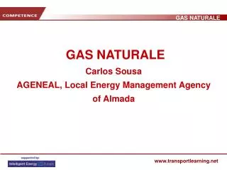 gas naturale carlos sousa ageneal local energy management agency of almada