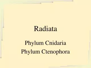 radiata