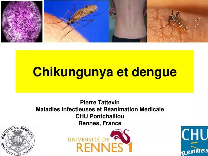 chikungunya et dengue