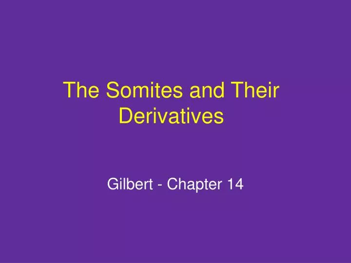 the somites and their derivatives