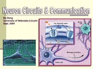 Neuron Circuits &amp; Communication