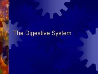 The Digestive System