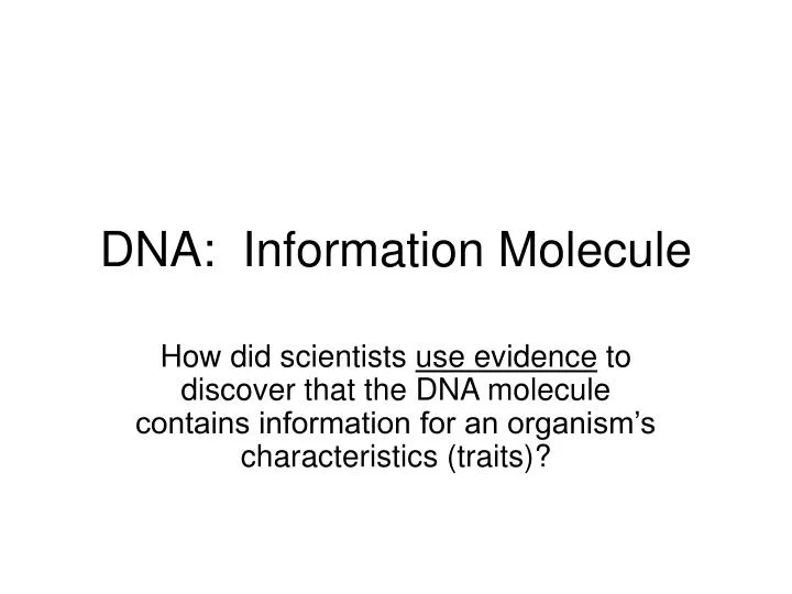 dna information molecule