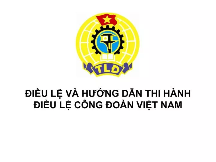 i u l v h ng d n thi h nh i u l c ng o n vi t nam