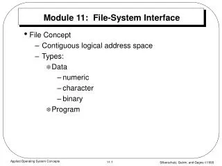 Module 11: File-System Interface