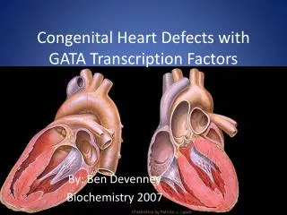 Congenital Heart Defects with GATA Transcription Factors