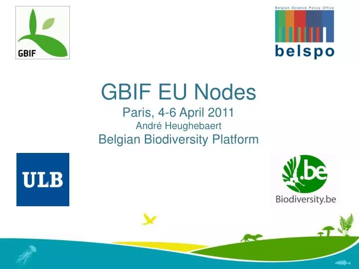 gbif eu nodes paris 4 6 april 2011 andr heughebaert belgian biodiversity platform