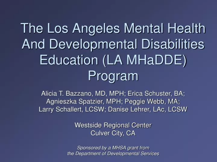 the los angeles mental health and developmental disabilities education la mhadde program