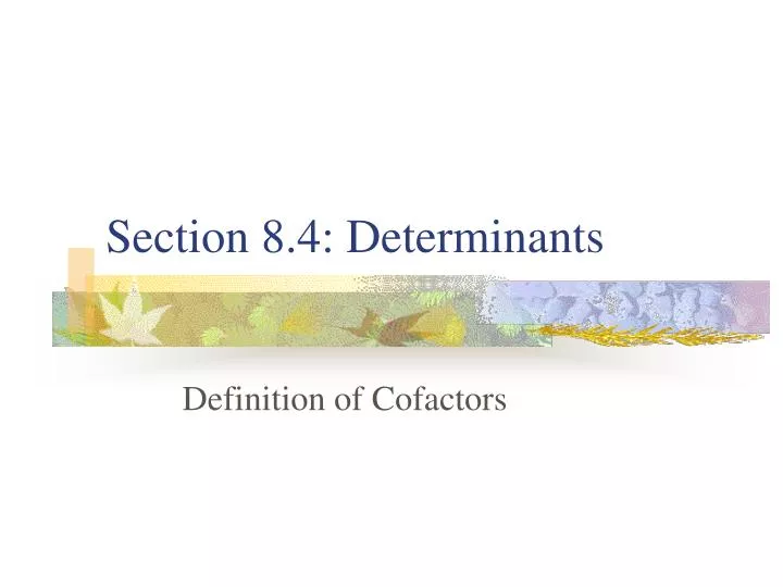 section 8 4 determinants