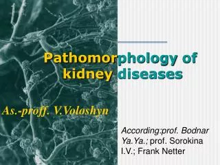 Pathomor phology of kidney diseases